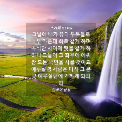 Picture 04 - 스가랴 12:6 KOR - 그날에 내가 유다 두목들로 나무 - Bible Verse Picture