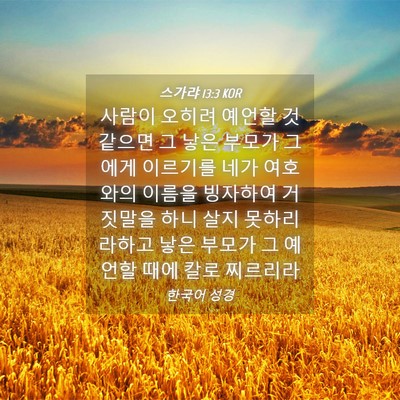 Picture 04 - 스가랴 13:3 KOR - 사람이 오히려 예언할 것 같으면 그 - Bible Verse Picture