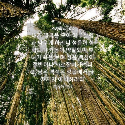 Picture 04 - 스가랴 14:2 KOR - 내가 열국을 모아 예루살렘과 싸우게 - Bible Verse Picture