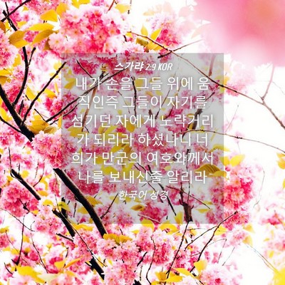 Picture 04 - 스가랴 2:9 KOR - 내가 손을 그들 위에 움직인즉 - Bible Verse Picture