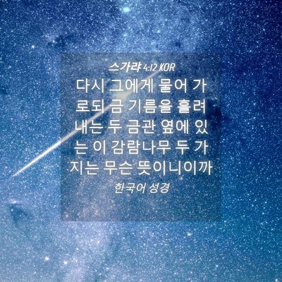 Picture 04 - 스가랴 4:12 KOR - 다시 그에게 물어 가로되 금 기름을 - Bible Verse Picture
