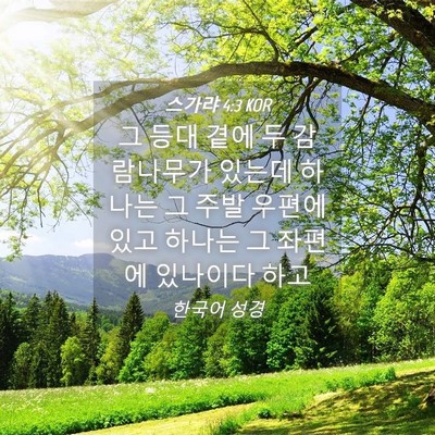 Picture 04 - 스가랴 4:3 KOR - 그 등대 곁에 두 감람나무가 있는데 - Bible Verse Picture