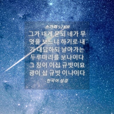 Picture 04 - 스가랴 5:2 KOR - 그가 내게 묻되 네가 무엇을 보느냐 - Bible Verse Picture