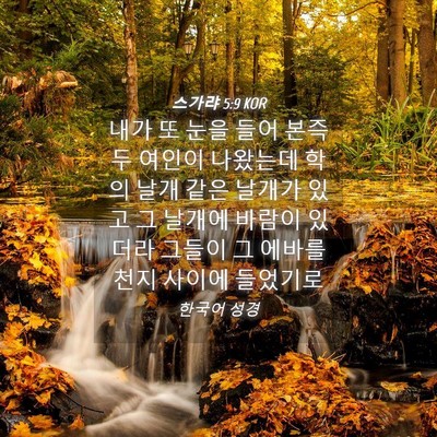 Picture 04 - 스가랴 5:9 KOR - 내가 또 눈을 들어 본즉 두 여인이 - Bible Verse Picture