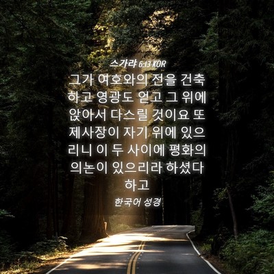 Picture 04 - 스가랴 6:13 KOR - 그가 여호와의 전을 건축하고 영광도 - Bible Verse Picture