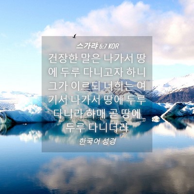 Picture 04 - 스가랴 6:7 KOR - 건장한 말은 나가서 땅에 두루 - Bible Verse Picture