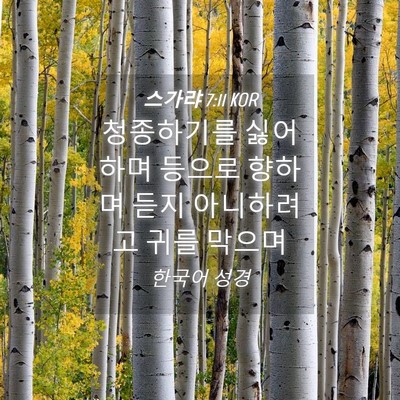 Picture 04 - 스가랴 7:11 KOR - 청종하기를 싫어하며 등으로 향하며 - Bible Verse Picture