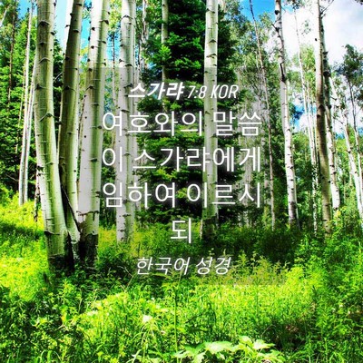 Picture 04 - 스가랴 7:8 KOR - 여호와의 말씀이 스가랴에게 임하여 - Bible Verse Picture