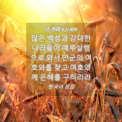 Picture 04 - 스가랴 8:22 KOR - 많은 백성과 강대한 나라들이 - Bible Verse Picture