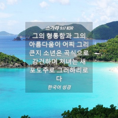 Picture 04 - 스가랴 9:17 KOR - 그의 형통함과 그의 아름다움이 어찌 - Bible Verse Picture