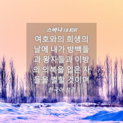 Picture 04 - 스바냐 1:8 KOR - 여호와의 희생의 날에 내가 방백들과 - Bible Verse Picture