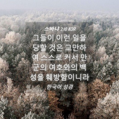 Picture 04 - 스바냐 2:10 KOR - 그들이 이런 일을 당할 것은 - Bible Verse Picture