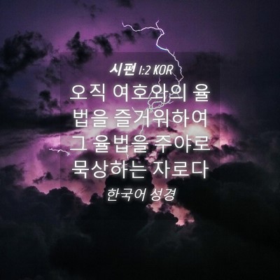 Picture 04 - 시편 1:2 KOR - 오직 여호와의 율법을 즐거워하여 그 - Bible Verse Picture