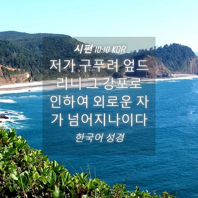 Picture 04 - 시편 10:10 KOR - 저가 구푸려 엎드리니 그 강포로 - Bible Verse Picture