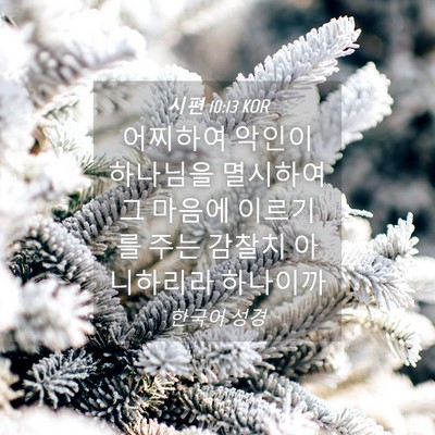 Picture 04 - 시편 10:13 KOR - 어찌하여 악인이 하나님을 멸시하여 - Bible Verse Picture