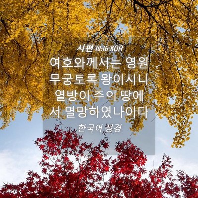 Picture 04 - 시편 10:16 KOR - 여호와께서는 영원무궁토록 - Bible Verse Picture