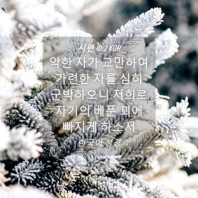 Picture 04 - 시편 10:2 KOR - 악한 자가 교만하여 가련한 자를 - Bible Verse Picture