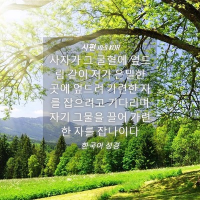 Picture 04 - 시편 10:9 KOR - 사자가 그 굴혈에 엎드림 같이 저가 - Bible Verse Picture