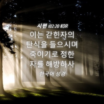 Picture 04 - 시편 102:20 KOR - 이는 갇힌자의 탄식을 들으시며 - Bible Verse Picture
