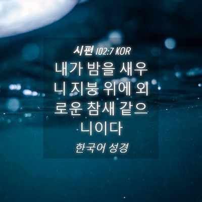 Picture 04 - 시편 102:7 KOR - 내가 밤을 새우니 지붕 위에 외로운 - Bible Verse Picture