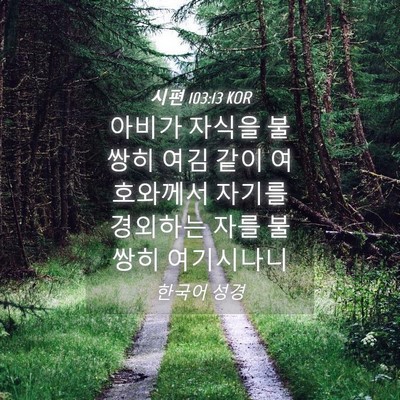 Picture 04 - 시편 103:13 KOR - 아비가 자식을 불쌍히 여김 같이 - Bible Verse Picture