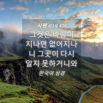 Picture 04 - 시편 103:16 KOR - 그것은 바람이 지나면 없어지나니 - Bible Verse Picture