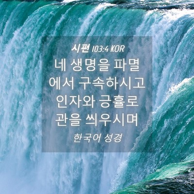Picture 04 - 시편 103:4 KOR - 네 생명을 파멸에서 구속하시고 - Bible Verse Picture