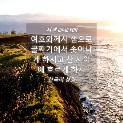 Picture 04 - 시편 104:10 KOR - 여호와께서 샘으로 골짜기에서 - Bible Verse Picture