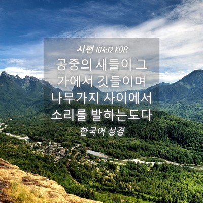 Picture 04 - 시편 104:12 KOR - 공중의 새들이 그 가에서 깃들이며 - Bible Verse Picture