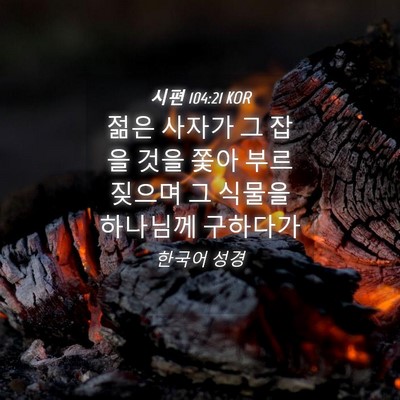 Picture 04 - 시편 104:21 KOR - 젊은 사자가 그 잡을 것을 쫓아 - Bible Verse Picture