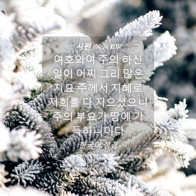 Picture 04 - 시편 104:24 KOR - 여호와여 주의 하신 일이 어찌 그리 - Bible Verse Picture