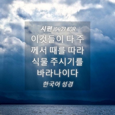 Picture 04 - 시편 104:27 KOR - 이것들이 다 주께서 때를 따라 식물 - Bible Verse Picture