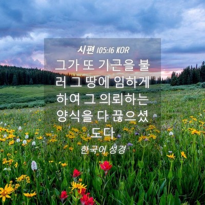 Picture 04 - 시편 105:16 KOR - 그가 또 기근을 불러 그 땅에 임하게 - Bible Verse Picture