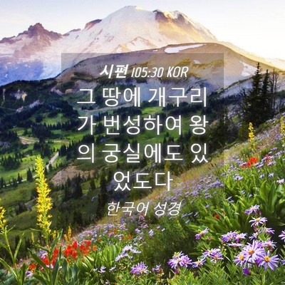 Picture 04 - 시편 105:30 KOR - 그 땅에 개구리가 번성하여 왕의 - Bible Verse Picture