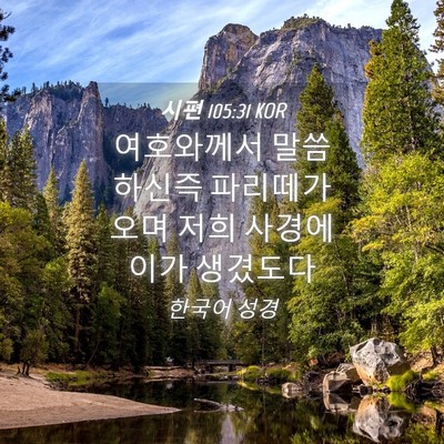 Picture 04 - 시편 105:31 KOR - 여호와께서 말씀 하신즉 파리떼가 - Bible Verse Picture