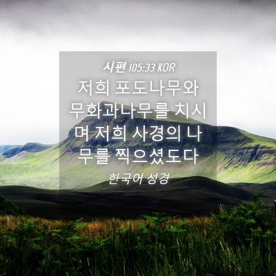 Picture 04 - 시편 105:33 KOR - 저희 포도나무와 무화과나무를 - Bible Verse Picture