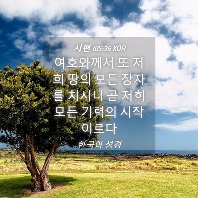 Picture 04 - 시편 105:36 KOR - 여호와께서 또 저희 땅의 모든 - Bible Verse Picture