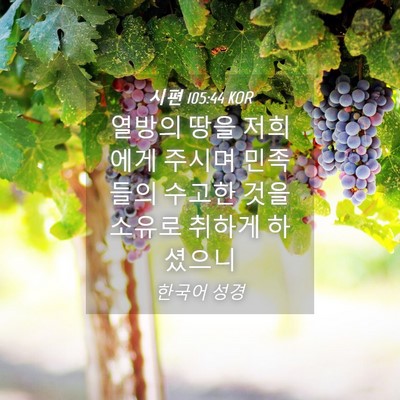Picture 04 - 시편 105:44 KOR - 열방의 땅을 저희에게 주시며 - Bible Verse Picture
