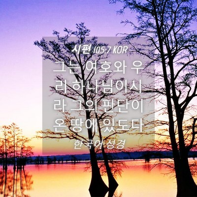 Picture 04 - 시편 105:7 KOR - 그는 여호와 우리 하나님이시라 그의 - Bible Verse Picture