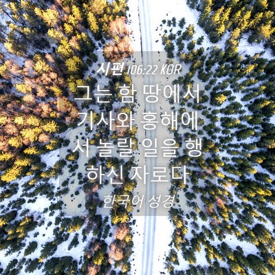 Picture 04 - 시편 106:22 KOR - 그는 함 땅에서 기사와 홍해에서 - Bible Verse Picture