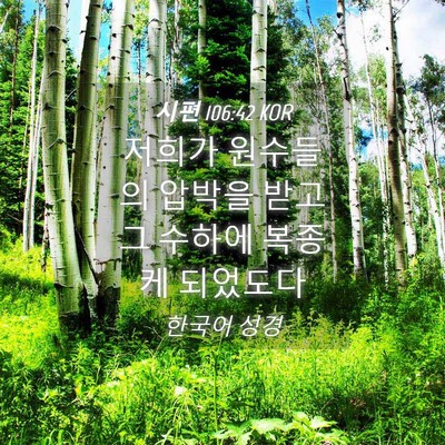 Picture 04 - 시편 106:42 KOR - 저희가 원수들의 압박을 받고 그 - Bible Verse Picture