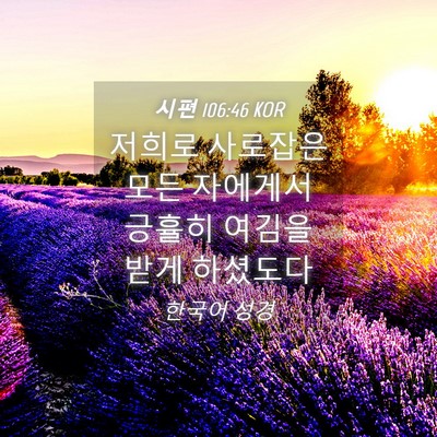 Picture 04 - 시편 106:46 KOR - 저희로 사로잡은 모든 자에게서 - Bible Verse Picture