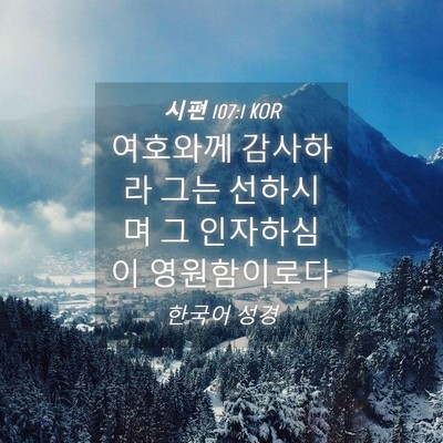 Picture 04 - 시편 107:1 KOR - 여호와께 감사하라 그는 선하시며 그 - Bible Verse Picture