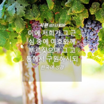 Picture 04 - 시편 107:13 KOR - 이에 저희가 그 근심 중에 여호와께 - Bible Verse Picture
