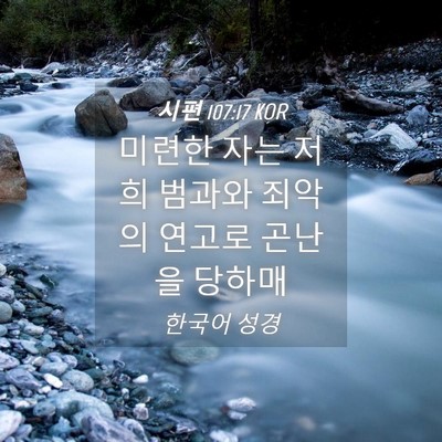 Picture 04 - 시편 107:17 KOR - 미련한 자는 저희 범과와 죄악의 - Bible Verse Picture