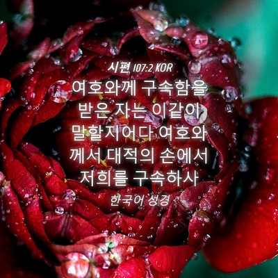 Picture 04 - 시편 107:2 KOR - 여호와께 구속함을 받은 자는 이같이 - Bible Verse Picture