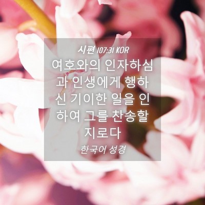 Picture 04 - 시편 107:31 KOR - 여호와의 인자하심과 인생에게 - Bible Verse Picture