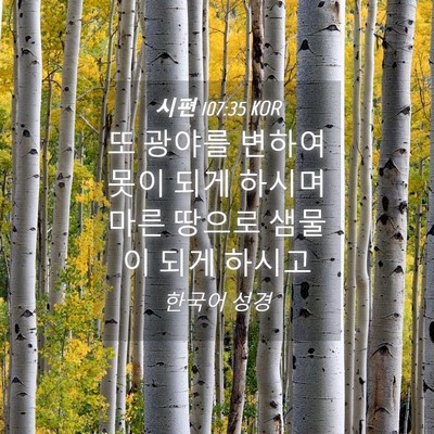 Picture 04 - 시편 107:35 KOR - 또 광야를 변하여 못이 되게 하시며 - Bible Verse Picture