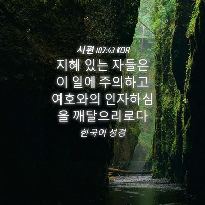 Picture 04 - 시편 107:43 KOR - 지혜 있는 자들은 이 일에 주의하고 - Bible Verse Picture