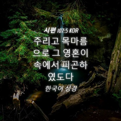 Picture 04 - 시편 107:5 KOR - 주리고 목마름으로 그 영혼이 속에서 - Bible Verse Picture